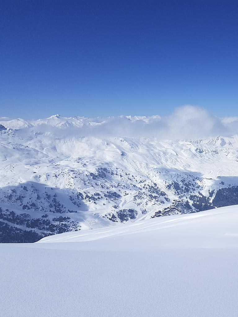 Ski hors-piste en forêt, vers le haut du domaine de La Tania.